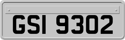 GSI9302