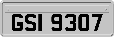 GSI9307