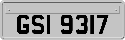 GSI9317