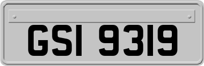 GSI9319