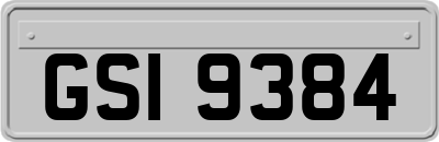 GSI9384
