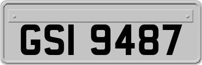 GSI9487