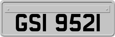 GSI9521