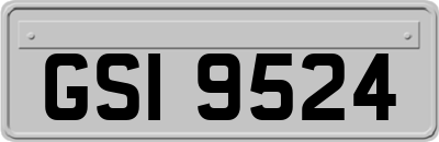 GSI9524