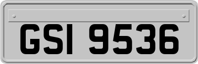 GSI9536