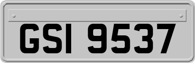 GSI9537