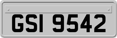 GSI9542