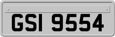 GSI9554