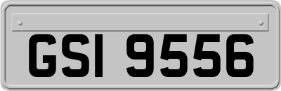 GSI9556