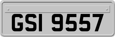 GSI9557