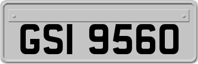 GSI9560