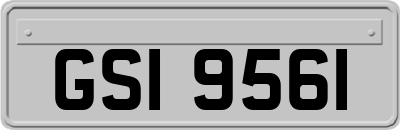 GSI9561