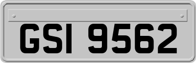 GSI9562