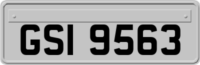 GSI9563