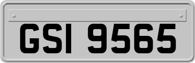 GSI9565
