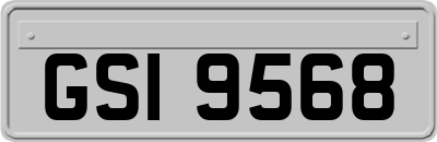 GSI9568
