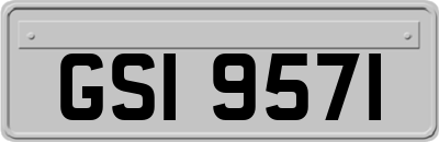 GSI9571