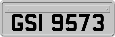 GSI9573