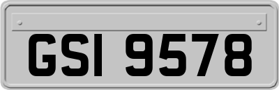GSI9578