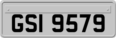 GSI9579
