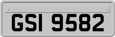GSI9582