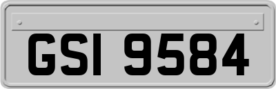 GSI9584