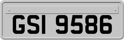 GSI9586