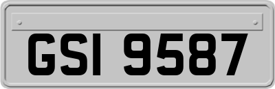 GSI9587