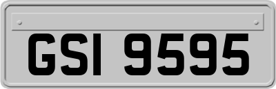 GSI9595