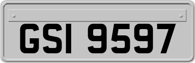 GSI9597