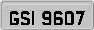 GSI9607