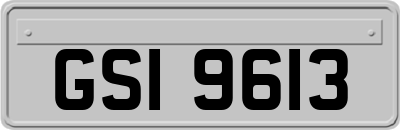 GSI9613