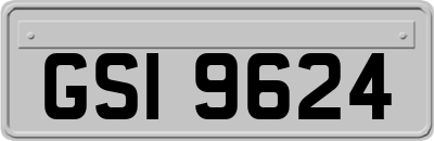 GSI9624