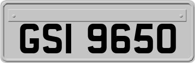 GSI9650