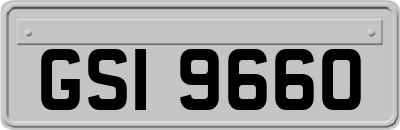 GSI9660