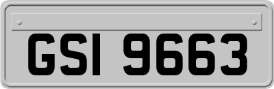 GSI9663