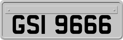 GSI9666