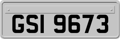 GSI9673