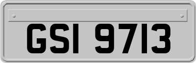 GSI9713