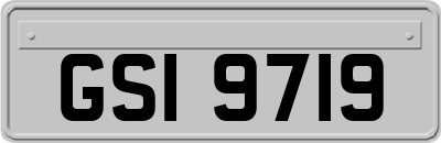 GSI9719