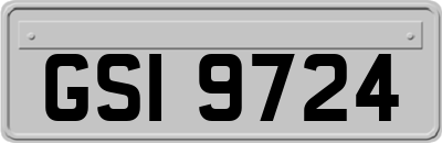 GSI9724