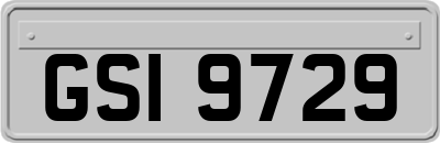 GSI9729