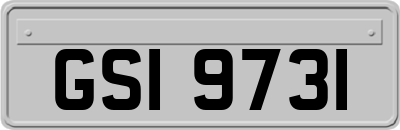 GSI9731