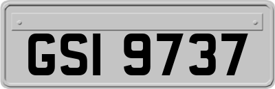 GSI9737