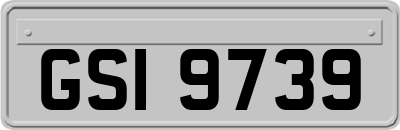 GSI9739