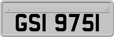 GSI9751