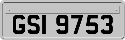 GSI9753