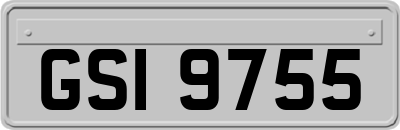 GSI9755