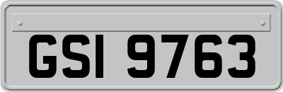 GSI9763