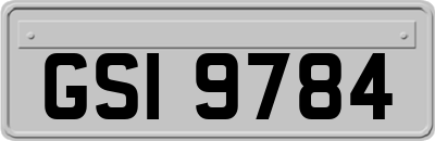 GSI9784